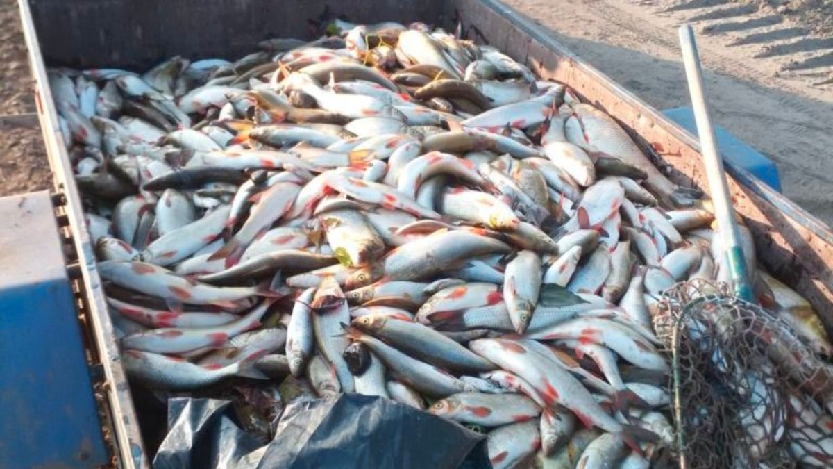 Bečva stále bez spravedlnosti. Napsal jsem Fialovi & spol, co by měli udělat