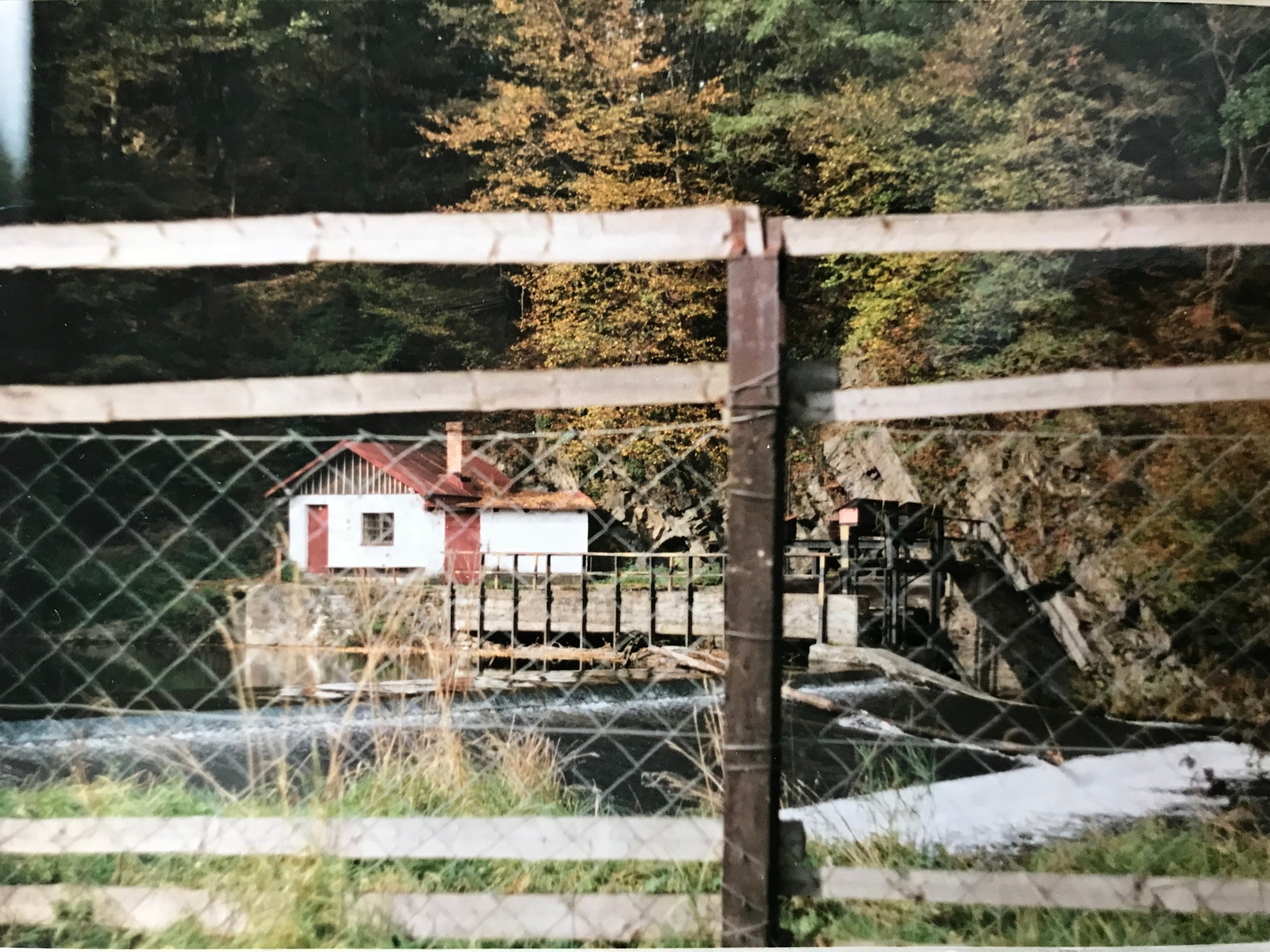 Michal Berg: Obora Jelenice. Dvacet let boje za volný průchod krajinou aneb Kde začal můj příběh