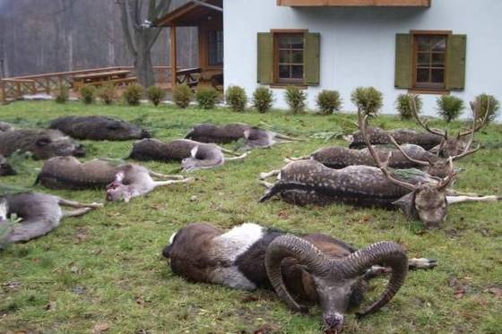 Obora Jelenice: dvacet let boje za průchod krajinou