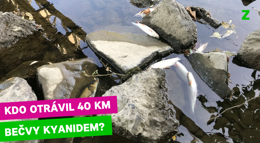 Kdo otrávil skoro 40 kilometrů Bečvy?